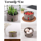 Collage of a multi-purpose concrete planter with plants, fruits, and eggs.