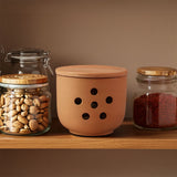 Three jars with Terracotta Garlic Keeper 