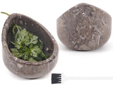 marble herb peeler