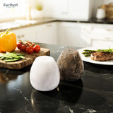 Two Earther Crafts salt and pepper shakers on a black marble kitchen countertop, with a cutting board of vegetables and a plate of steak in the background.