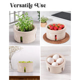 Collage of a multi-purpose beige container used as a planter, fruit bowl, and egg holder.