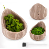 herb containers with a natural wood finish, shown on a white background. One container is filled with cilantro, one with parsley, and a small white-handled brush with black bristles is placed below.