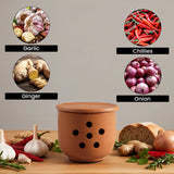 Terracotta spice grinder with images of garlic, chilies, ginger, and onions on a wooden surface.