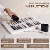 Backgammon board with pieces and dice, hand holding a cup, and basic instructions displayed.