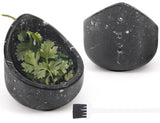 Black stone herb container with fresh herbs inside, accompanied by a small brush on a white background.