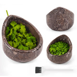 marble herb peeler with a cleaning brush, shown on a white background. One large bowl is filled with green cilantro, and two smaller bowls are shown empty.