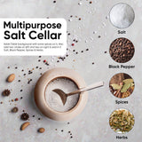 Salt cellar with a spoon on a gray surface surrounded by salt, black pepper, spices, and herbs.