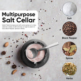 Salt cellar with a spoon surrounded by spices and herbs on a textured surface.