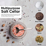 Salt cellar with a spoon surrounded by salt, black pepper, spices, and herbs on a textured surface.